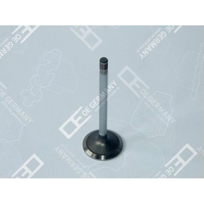 6x Einlassventil Einlassseite für Deutz BFM 1013 C/E/EC/ECP D 5 A TD 520 GE TAD 6x Einlassventil Einlassseite für Deutz BFM 1013 C/E/EC/ECP D 5 A TD 520 GE TAD