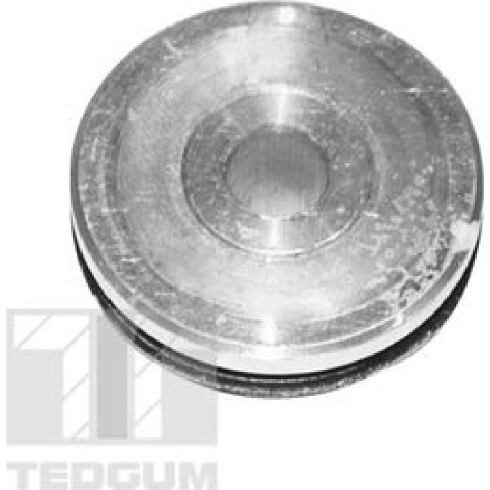 Tedgum 00059616 Lagerung, Lenker
