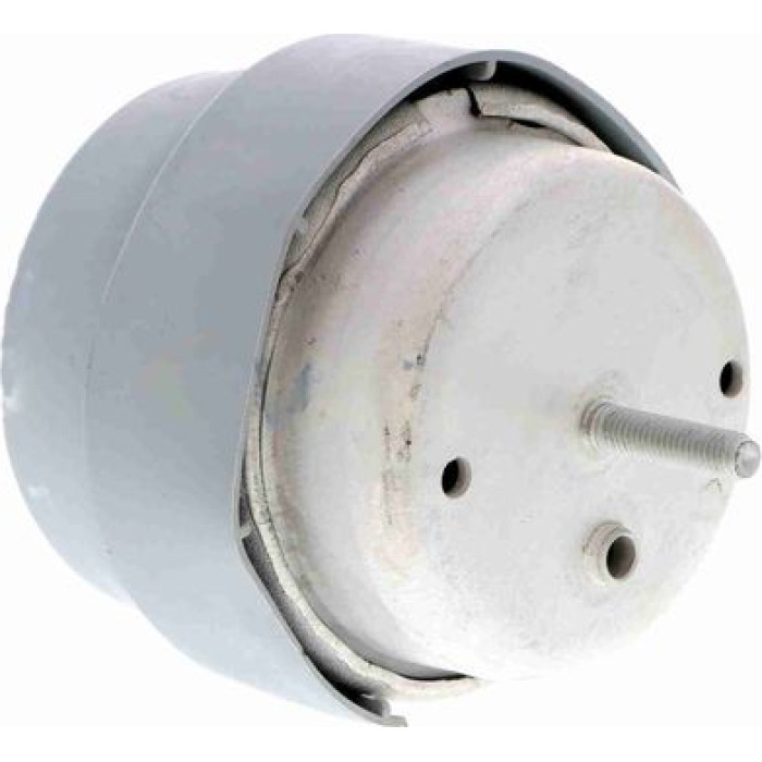 Vaico V10-2960 Lagerung, Motor