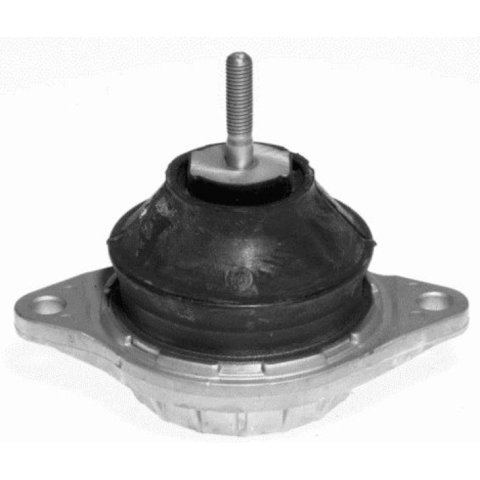 Lemförder 10137 01 Lagerung, Motor