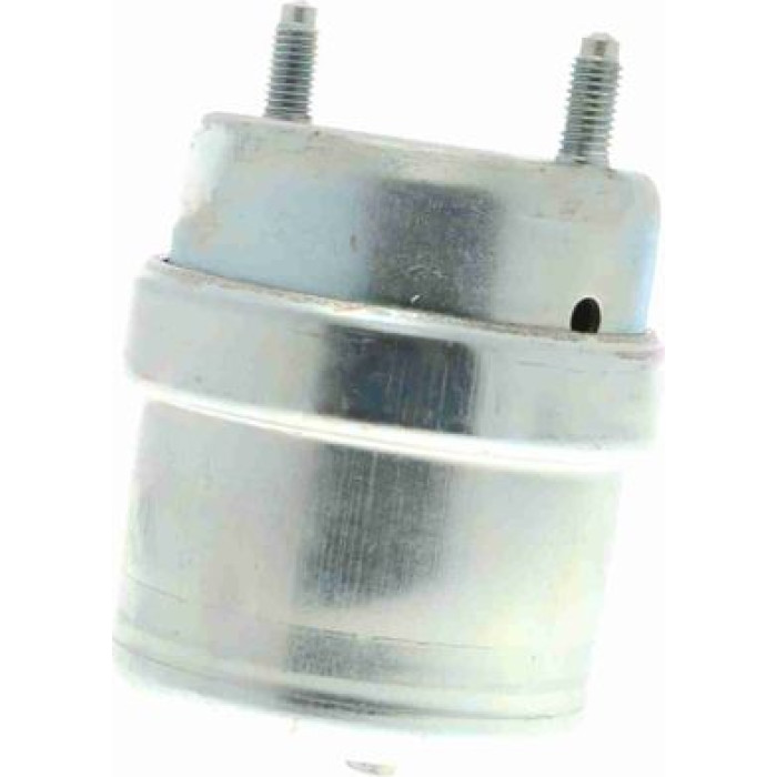 Vaico V10-8208 Lagerung, Motor