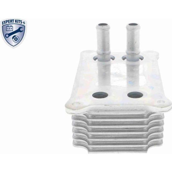 Vemo V25-60-0031 Ölkühler, Motoröl Expert Kits + Vemo V25-60-0031 Ölkühler, Motoröl Expert Kits +
