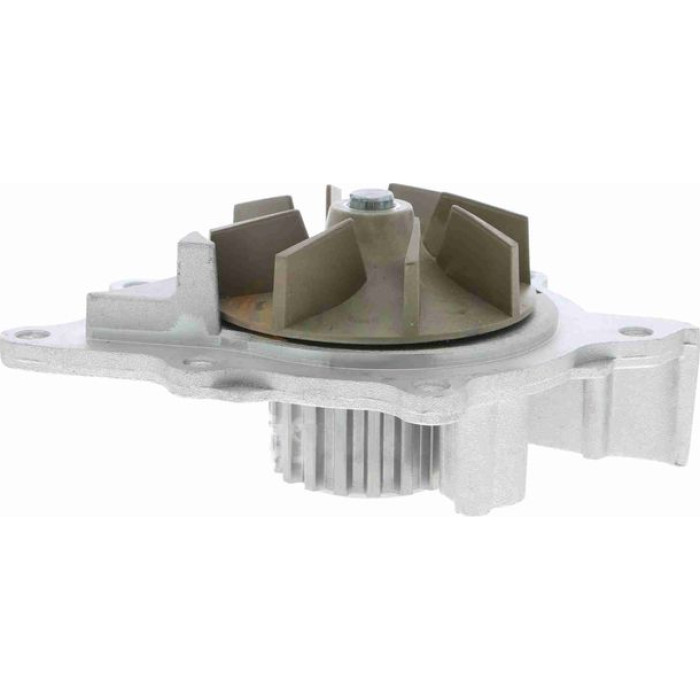 Vaico V25-50028 Wasserpumpe Green Mobility Parts Vaico V25-50028 Wasserpumpe Green Mobility Parts