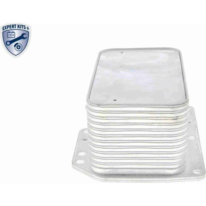 Vemo V46-60-0012 Ölkühler, Motoröl Expert Kits + Vemo V46-60-0012 Ölkühler, Motoröl Expert Kits +