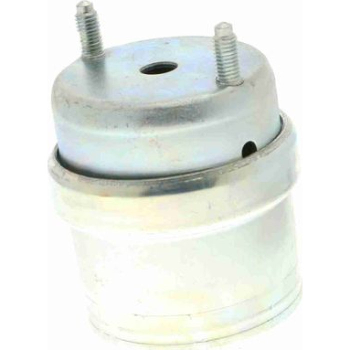 Vaico V10-8208 Lagerung, Motor
