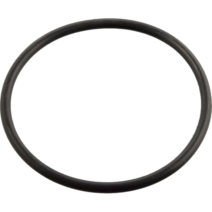 FEBI BILSTEIN 11443 Dichtung, Thermostat