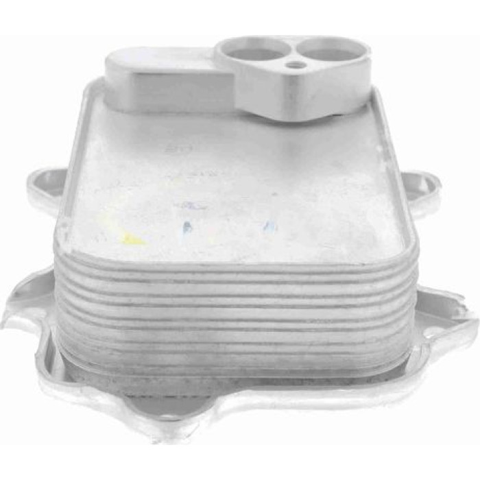 Vemo V15-60-6026 Ölkühler, Motoröl