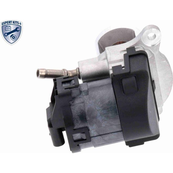 Vemo V30-63-0031 AGR-Ventil Expert Kits +