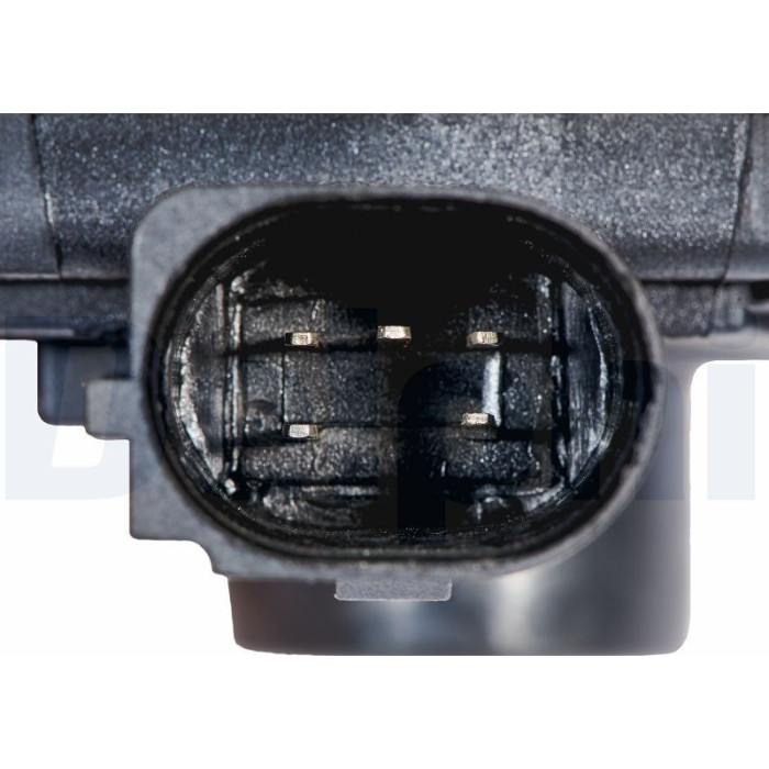 Delphi EG10645-12B1 AGR-Ventil