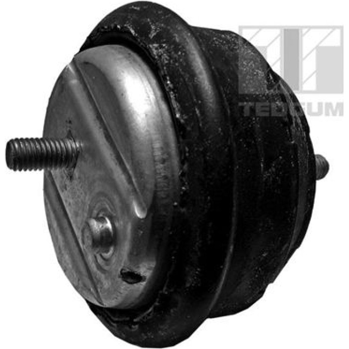 Tedgum 00089788 Lagerung, Motor