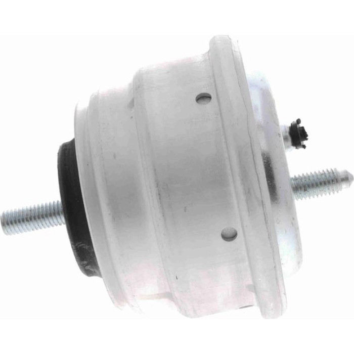Vaico V20-1124 Lagerung, Motor