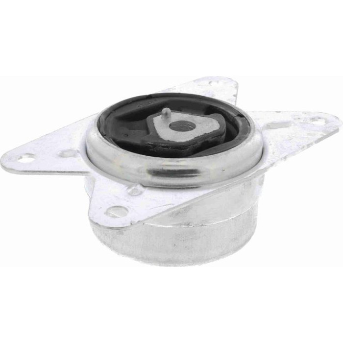 Vaico V40-0400 Lagerung, Motor