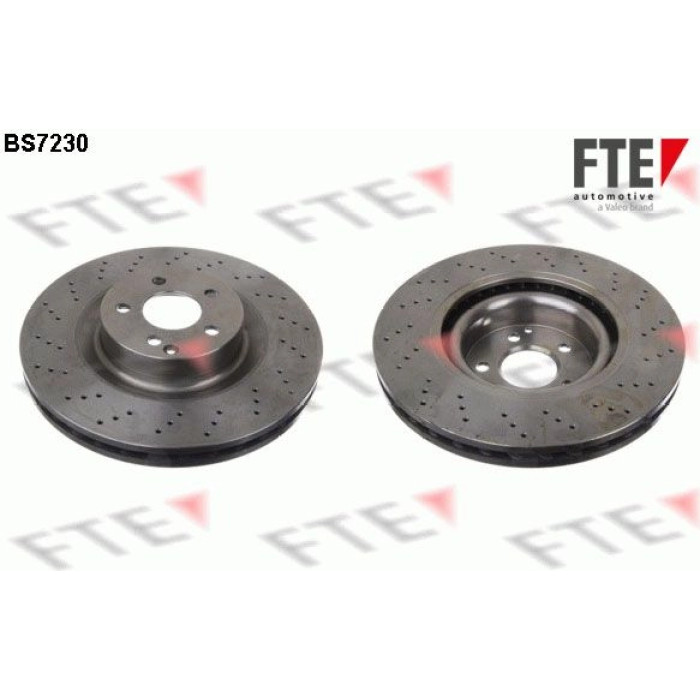FTE 9071172 Bremsscheibe FTE 9071172 Bremsscheibe