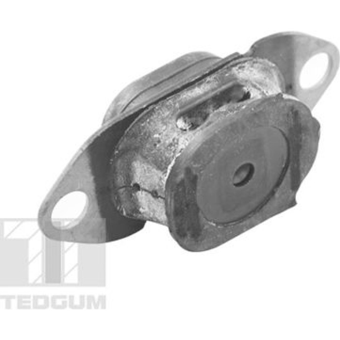 Tedgum TED27774 Lagerung, Motor Tedgum TED27774 Lagerung, Motor
