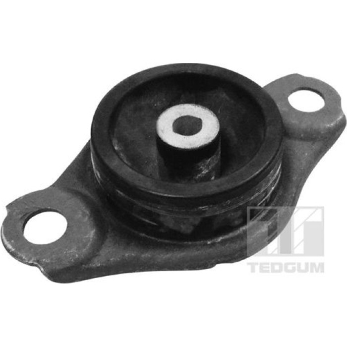 Tedgum TED58229 Lagerung, Motor
