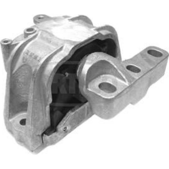 Corteco 80000527 Lagerung, Motor
