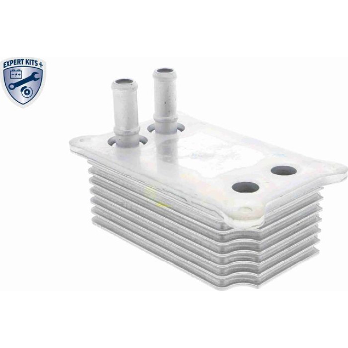Vemo V25-60-0031 Ölkühler, Motoröl Expert Kits + Vemo V25-60-0031 Ölkühler, Motoröl Expert Kits +