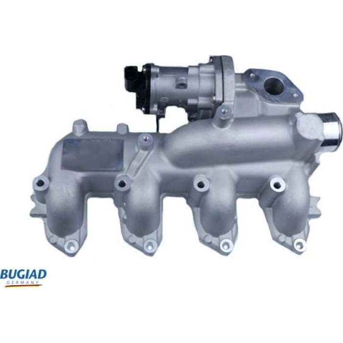 Bugiad BGR13094 AGR-Ventil
