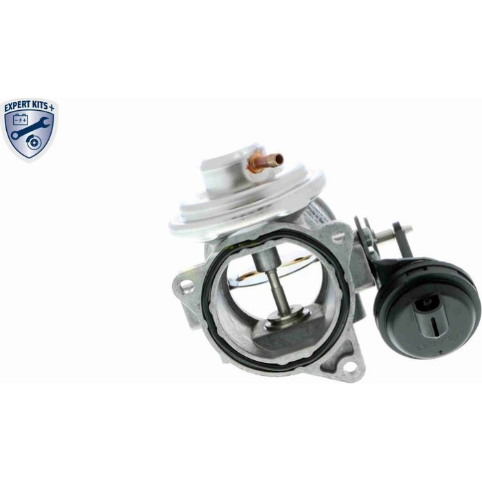Vemo V10-63-0024 AGR-Ventil Expert Kits +