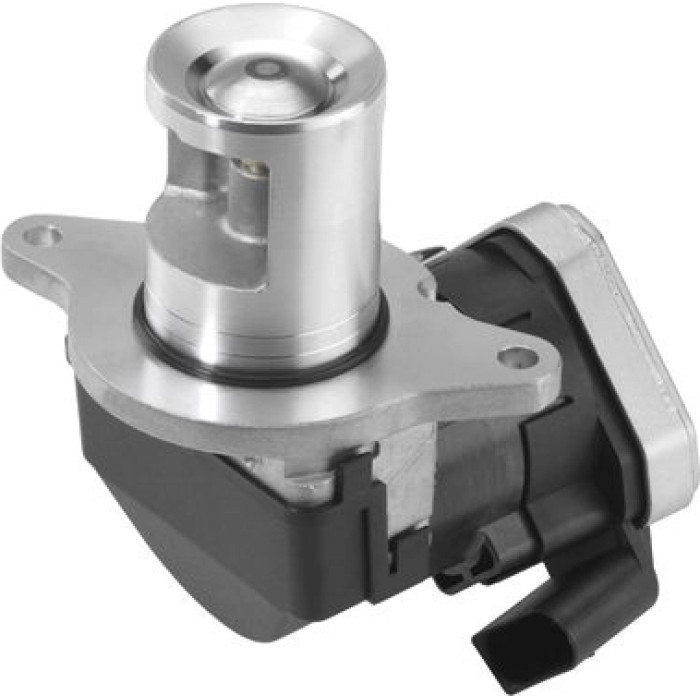 Wahler 710023D AGR-Ventil