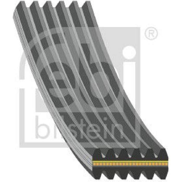 febi bilstein 1005822 Keilrippenriemen febi bilstein 1005822 Keilrippenriemen