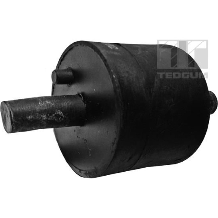 Tedgum 00089175 Lagerung, Motor