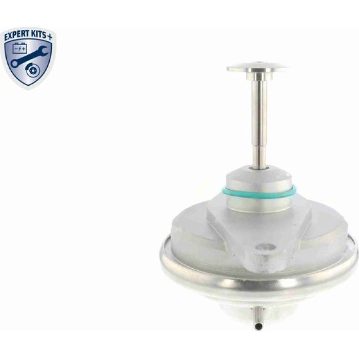 Vemo V40-63-0019 AGR-Ventil Expert Kits + Vemo V40-63-0019 AGR-Ventil Expert Kits +