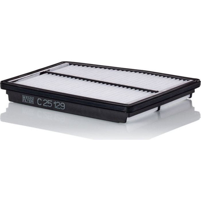 MANN-FILTER C 25 129 Luftfilter