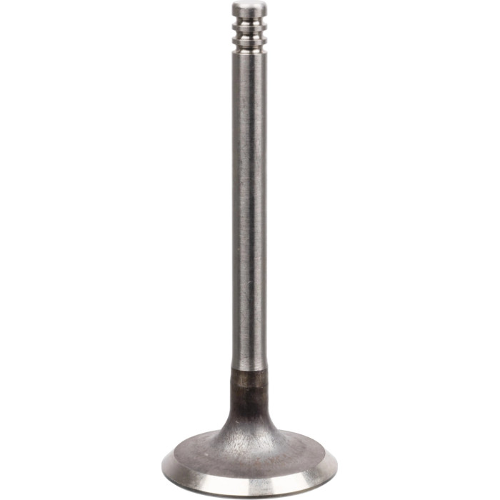 FEBI BILSTEIN 21210 Einlassventil