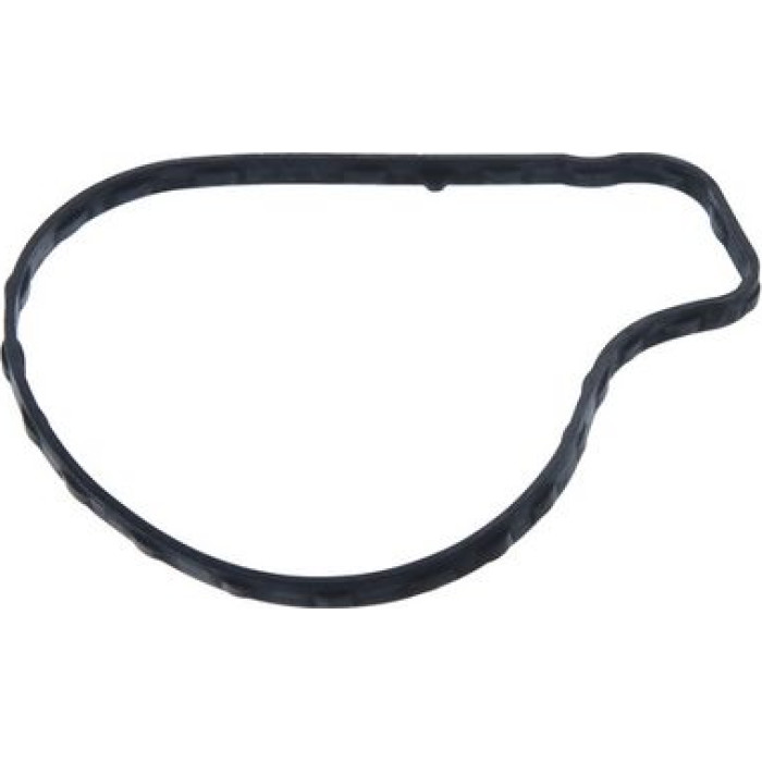 Valeo 529623 Wasserpumpe, Motorkühlung