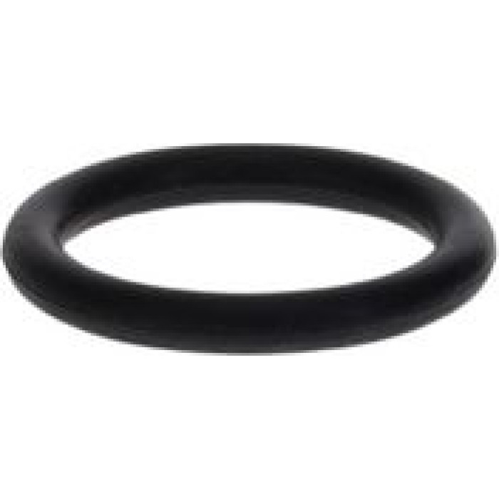 BOSCH 1 900 210 013 Dichtring BOSCH 1 900 210 013 Dichtring