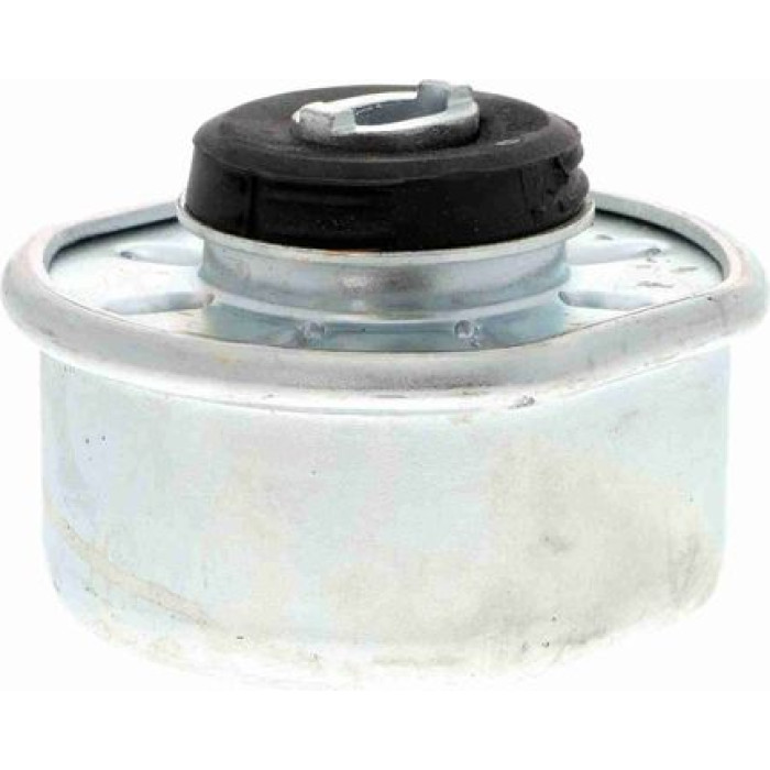 Vaico V10-1324 Lagerung, Motor