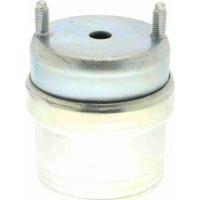 Vaico V10-8208 Lagerung, Motor