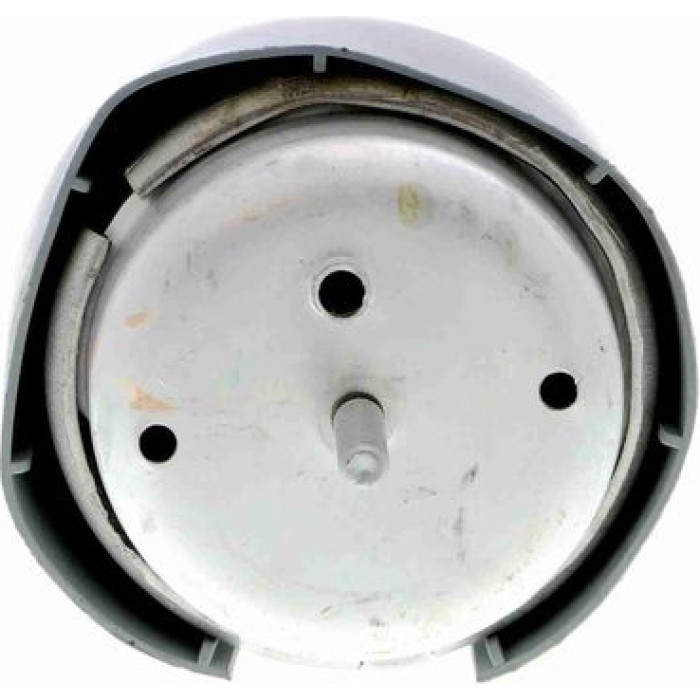 Vaico V10-2184 Lagerung, Motor