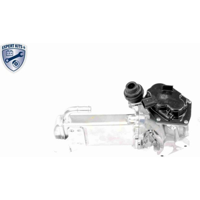 AGR-Ventil V10-63-0050 AGR-Ventil V10-63-0050