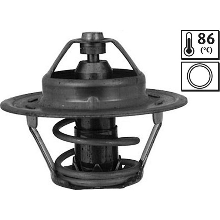 Thermostat, Kühlmittel 819915