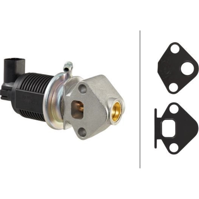 Hella 6NU 010 171-431 AGR-Ventil