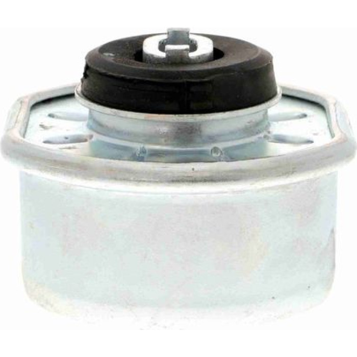 Vaico V10-1324 Lagerung, Motor