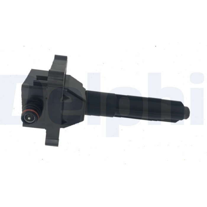 Delphi CE20038-12B1 Zündspule