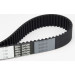 ContiTech | Zahnriemen | CT884 ContiTech | Zahnriemen | CT884