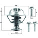 Mahle | Thermostat, Kühlmittel | TX 202 90D