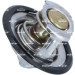 725323 Thermostat, Kühlmittel EASY FIT