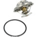 NRF | Thermostat, Kühlmittel | 725070