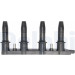Delphi | Zündspule | GN10234-12B1