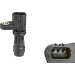 Valeo | Impulsgeber, Kurbelwelle | 254077 Valeo | Impulsgeber, Kurbelwelle | 254077