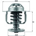 Mahle | Thermostat, Kühlmittel | TX 110 82D