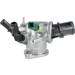 725241 Thermostat, Kühlmittel