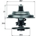Mahle | Thermostat, Kühlmittel | TX 23 79D