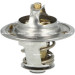 NRF | Thermostat, Kühlmittel | 725124