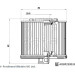 Blue Print | Kraftstofffilter | ADBP230033 Blue Print | Kraftstofffilter | ADBP230033